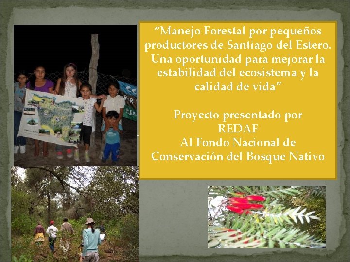 “Manejo Forestal por pequeños productores de Santiago del Estero. Una oportunidad para mejorar la