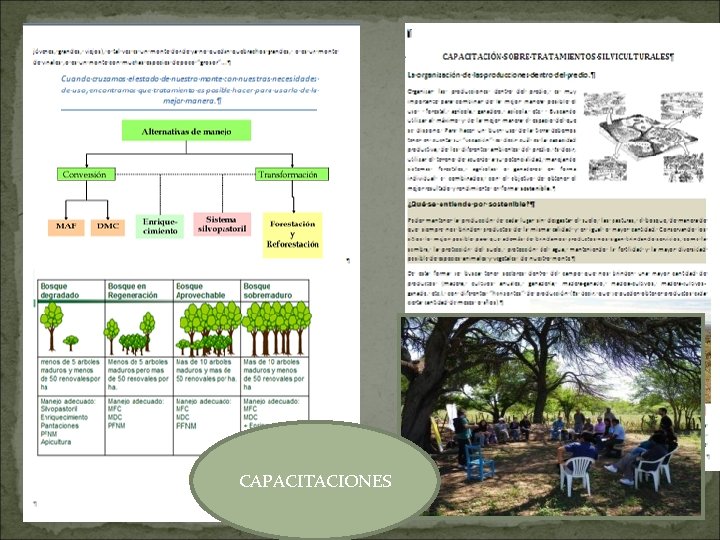 CAPACITACIONES 