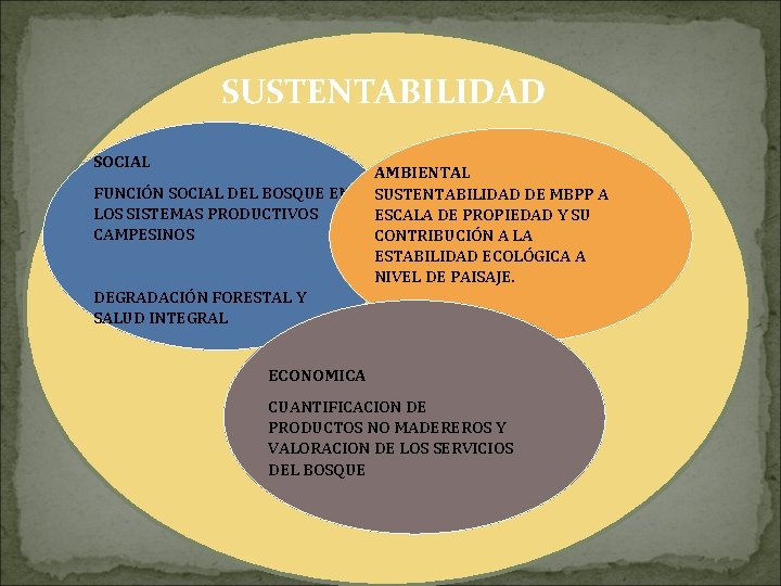 SUSTENTABILIDAD SOCIAL FUNCIÓN SOCIAL DEL BOSQUE EN LOS SISTEMAS PRODUCTIVOS CAMPESINOS DEGRADACIÓN FORESTAL Y