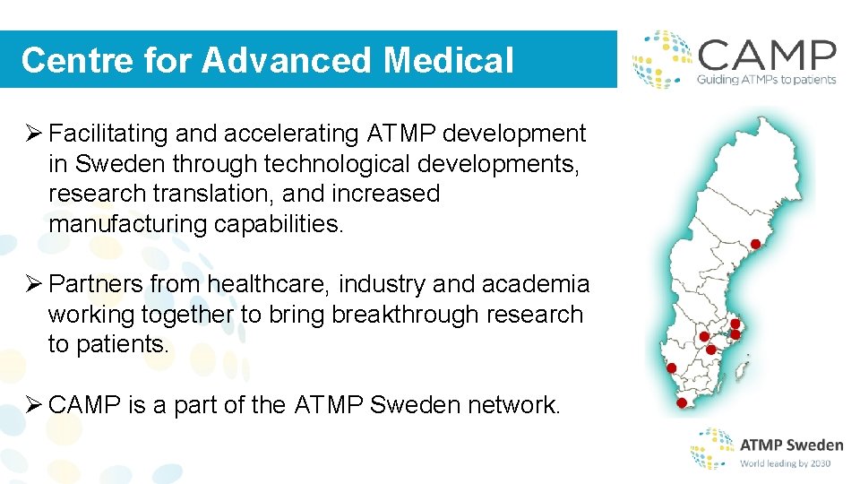 Driving technological developments research translation and ...