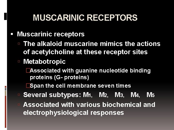 MUSCARINIC RECEPTORS Muscarinic receptors The alkaloid muscarine mimics the actions of acetylcholine at these