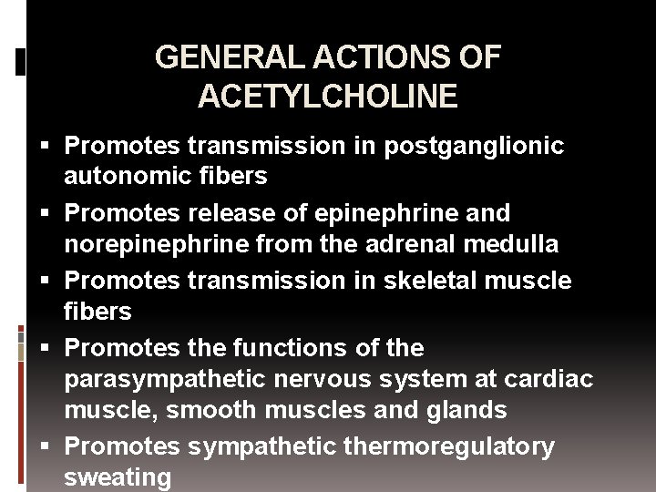 GENERAL ACTIONS OF ACETYLCHOLINE Promotes transmission in postganglionic autonomic fibers Promotes release of epinephrine