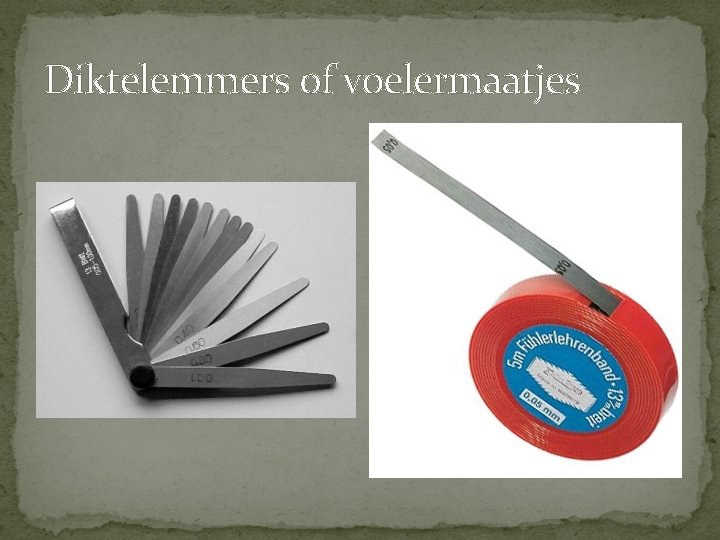 Diktelemmers of voelermaatjes Diktelemmers of voelermaatjes
