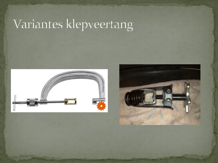 Variantes klepveertang Variantes klepveertang