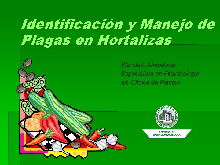 Identificación y Manejo de Plagas en Hortalizas Wanda I. Almodóvar Especialista en Fitopatología a/c