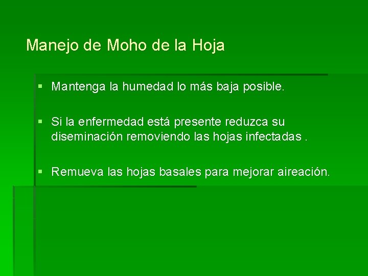 Manejo de Moho de la Hoja § Mantenga la humedad lo más baja posible.