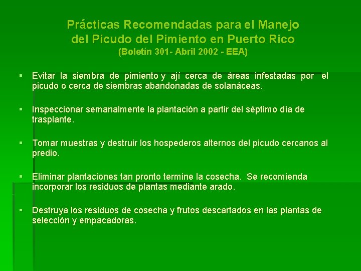 Prácticas Recomendadas para el Manejo del Picudo del Pimiento en Puerto Rico (Boletín 301