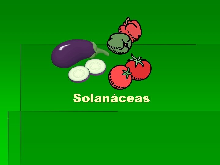 Solanáceas 