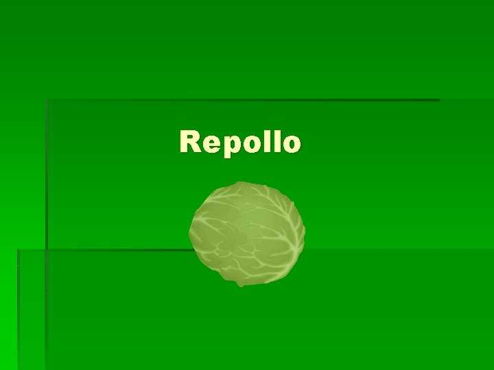 Repollo 