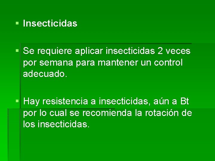 § Insecticidas § Se requiere aplicar insecticidas 2 veces por semana para mantener un