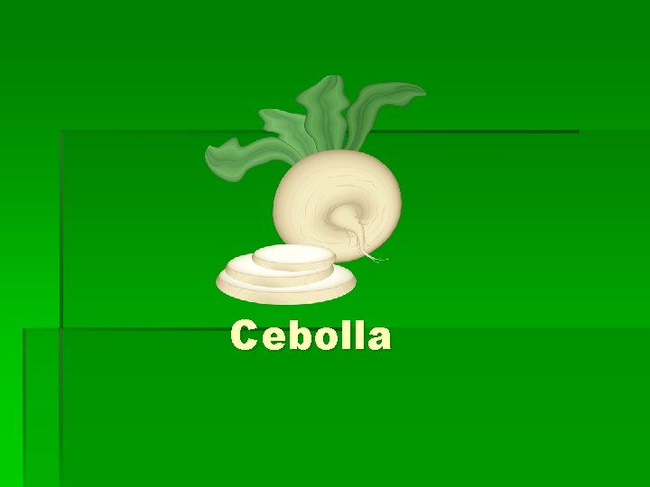 Cebolla 