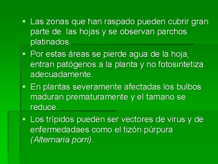 § Las zonas que han raspado pueden cubrir gran parte de las hojas y