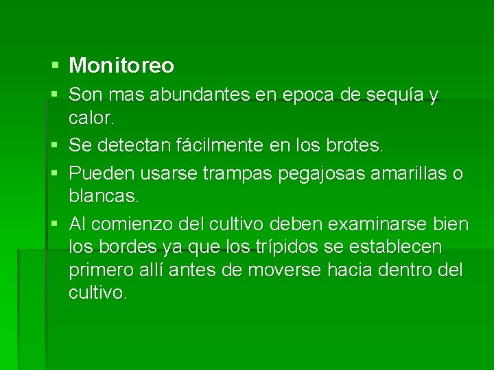 § Monitoreo § Son mas abundantes en epoca de sequía y calor. § Se