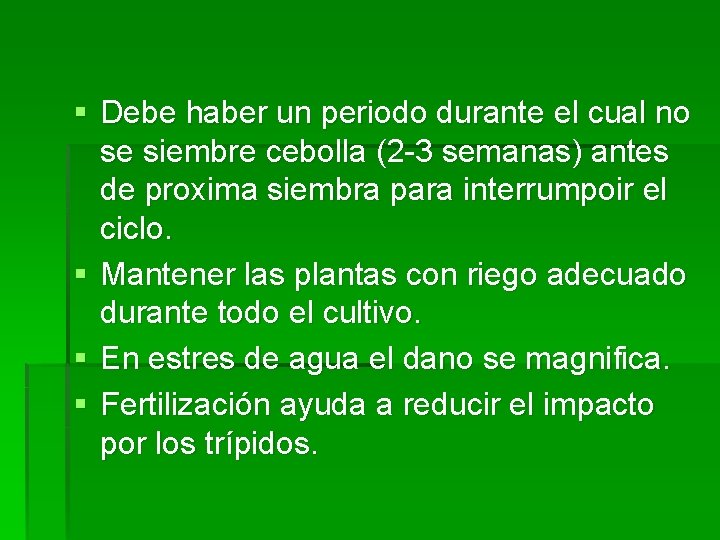 § Debe haber un periodo durante el cual no se siembre cebolla (2 -3