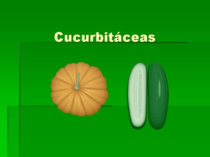 Cucurbitáceas 