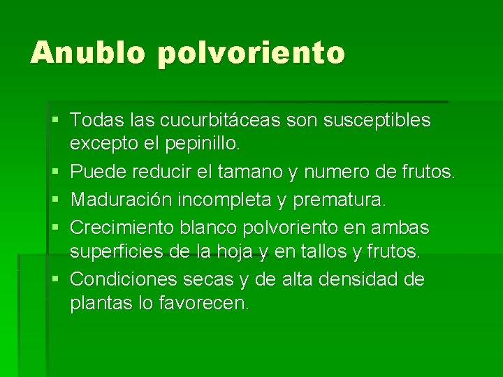 Anublo polvoriento § Todas las cucurbitáceas son susceptibles excepto el pepinillo. § Puede reducir