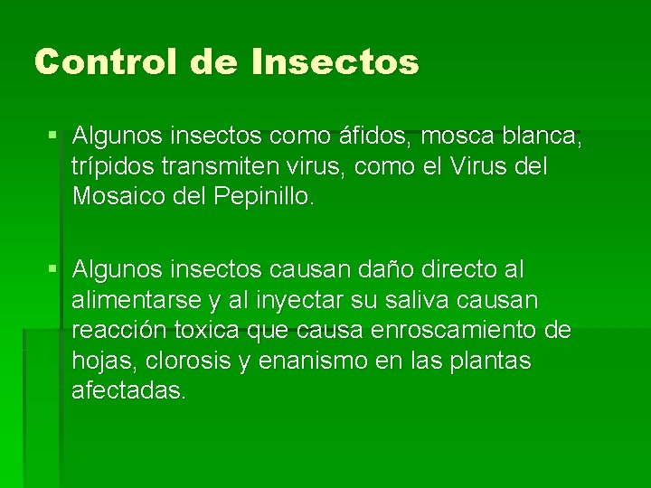 Control de Insectos § Algunos insectos como áfidos, mosca blanca, trípidos transmiten virus, como