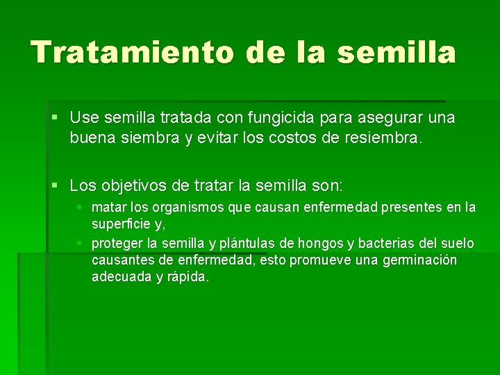 Tratamiento de la semilla § Use semilla tratada con fungicida para asegurar una buena