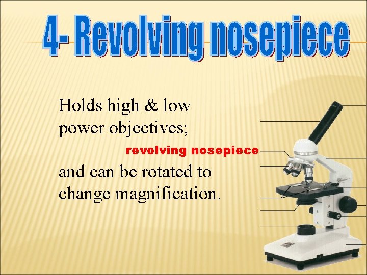 Holds high & low power objectives; revolving nosepiece and can be rotated to change