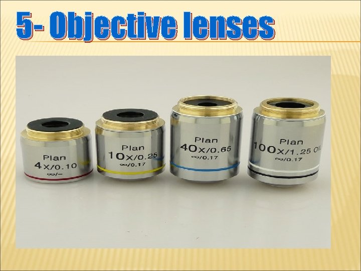 5 - Objective lenses 