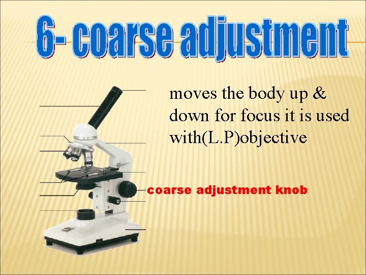 moves the body up & down for focus it is used with(L. P)objective coarse