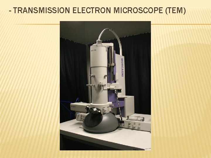 - TRANSMISSION ELECTRON MICROSCOPE (TEM) 