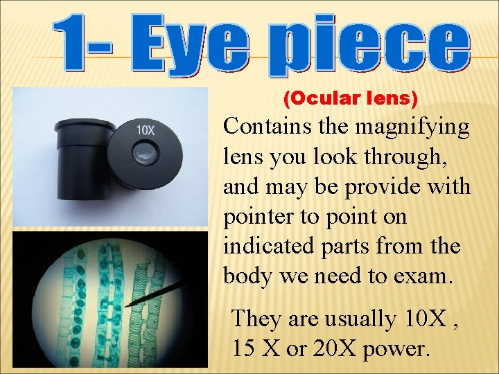 (Ocular lens) Contains the magnifying lens you look through, and may be provide with