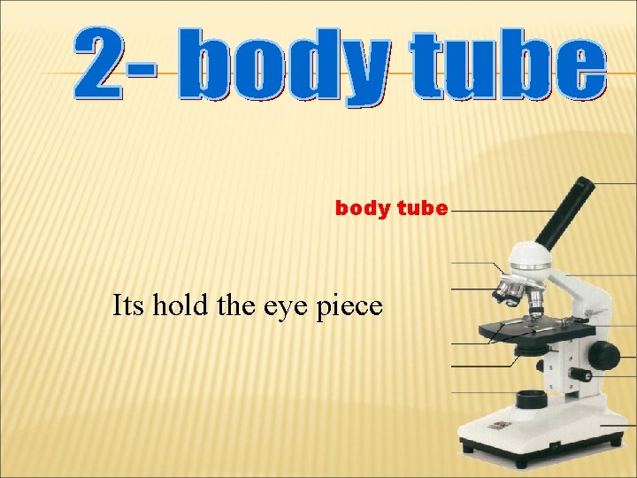 body tube Its hold the eye piece 