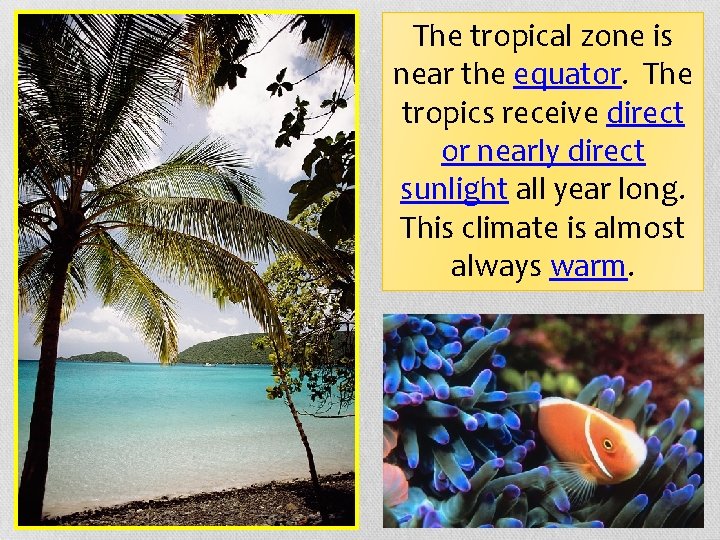 The tropical zone is near the equator. The tropics receive direct or nearly direct