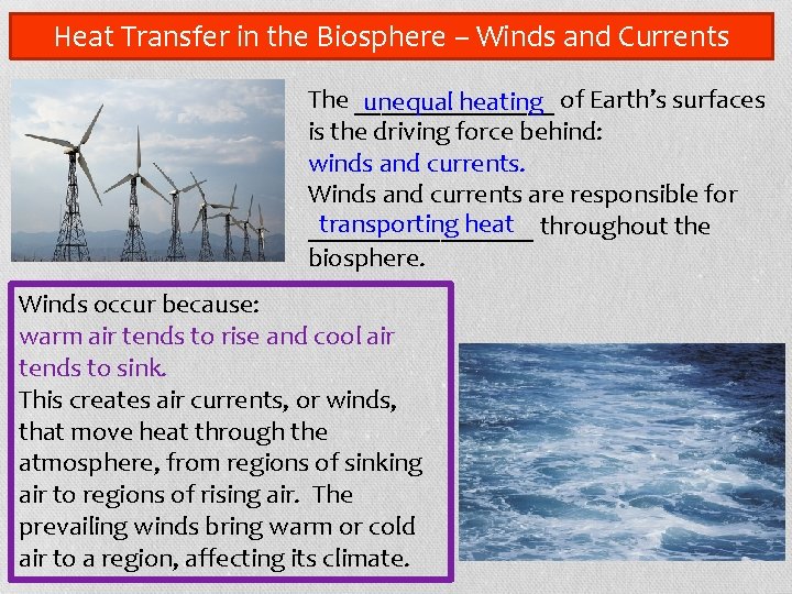 Heat Transfer in the Biosphere – Winds and Currents The ________ unequal heating of