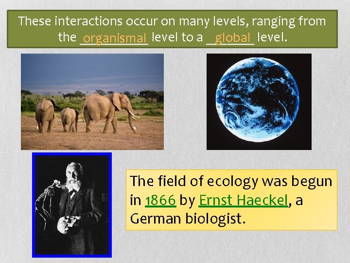 These interactions occur on many levels, ranging from the _____ global level. organismal level