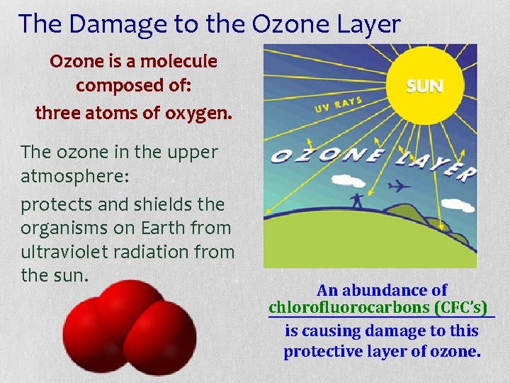 The Damage to the Ozone Layer Ozone is a molecule composed of: three atoms