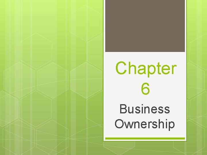 Chapter 6 Business Ownership 