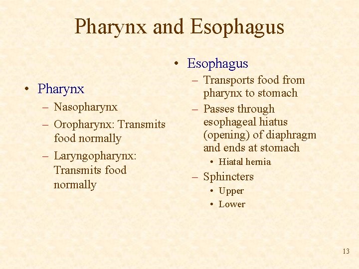 Pharynx and Esophagus • Pharynx – Nasopharynx – Oropharynx: Transmits food normally – Laryngopharynx: