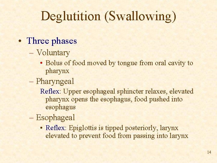 Deglutition (Swallowing) • Three phases – Voluntary • Bolus of food moved by tongue