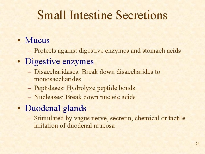 Small Intestine Secretions • Mucus – Protects against digestive enzymes and stomach acids •