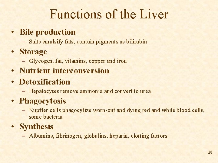 Functions of the Liver • Bile production – Salts emulsify fats, contain pigments as