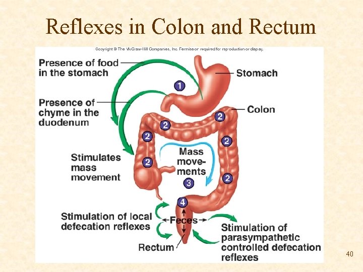 Reflexes in Colon and Rectum 40 