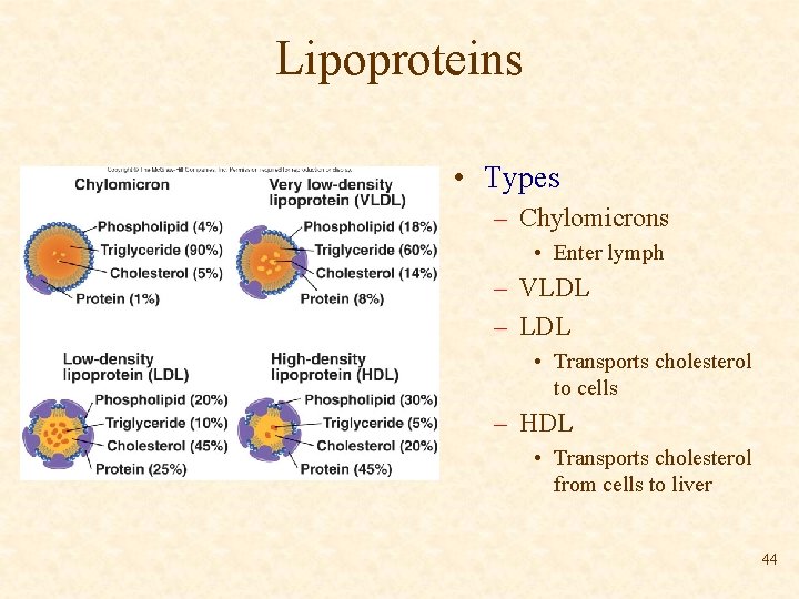 Lipoproteins • Types – Chylomicrons • Enter lymph – VLDL – LDL • Transports