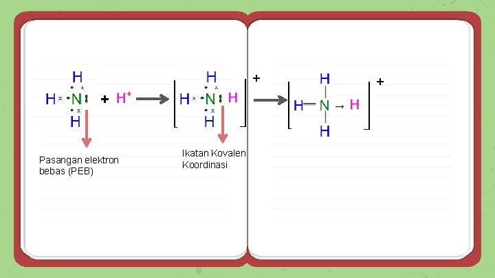 + + Pasangan elektron bebas (PEB) + → Ikatan Kovalen Koordinasi 