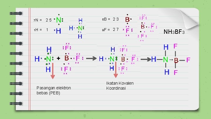 7 N = 25 5 B = 23 1 H = 1 9 F