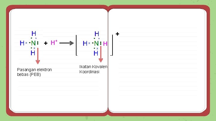 + + Pasangan elektron bebas (PEB) Ikatan Kovalen Koordinasi 