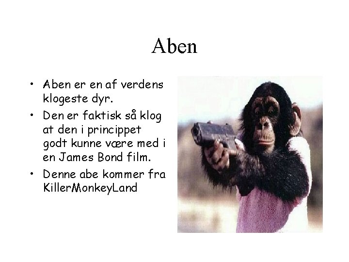 Aben • Aben er en af verdens klogeste dyr. • Den er faktisk så