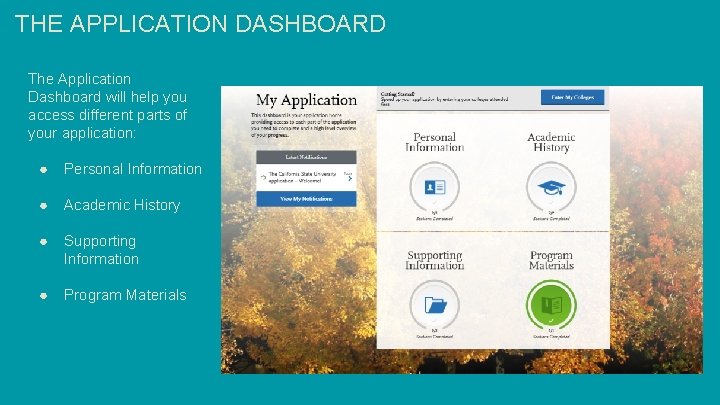 THE APPLICATION DASHBOARD The Application Dashboard will help you access different parts of your