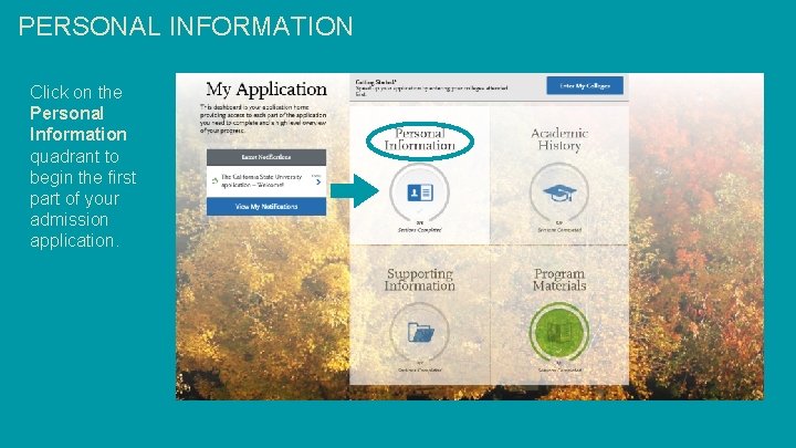 PERSONAL INFORMATION Click on the Personal Information quadrant to begin the first part of