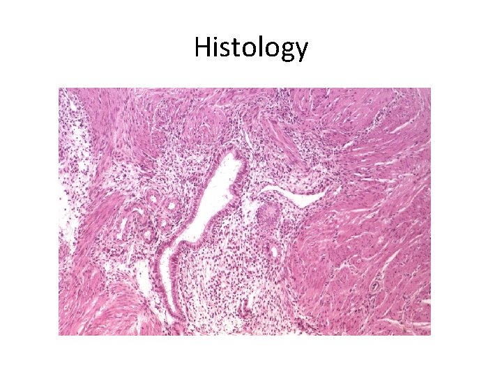 Histology 