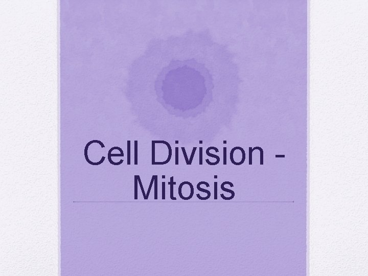 Cell Division Mitosis 