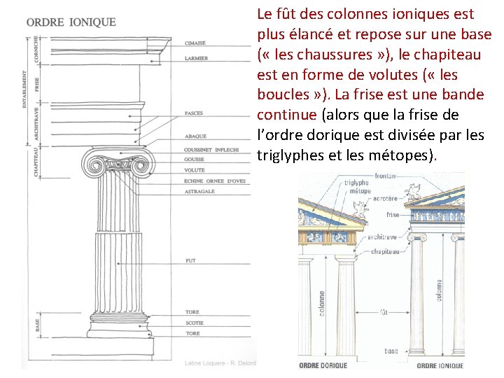 Le fût des colonnes ioniques est plus élancé et repose sur une base (