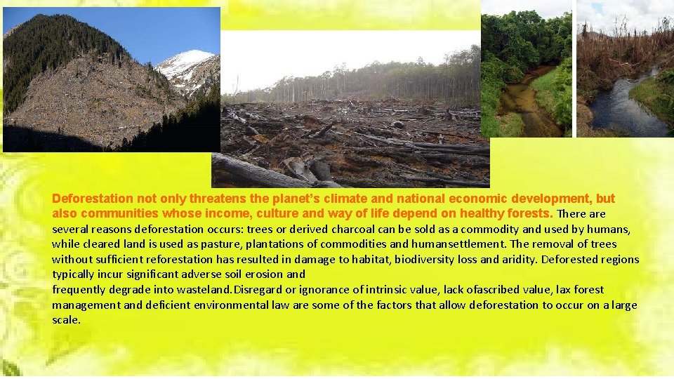 Deforestation not only threatens the planet’s climate and national economic development, but also communities Deforestation not only threatens the planet’s climate and national economic development, but also communities