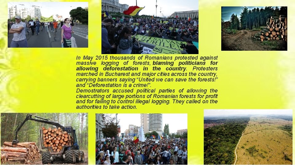 In May 2015 thousands of Romanians protested against massive logging of forests, blaming politicians In May 2015 thousands of Romanians protested against massive logging of forests, blaming politicians